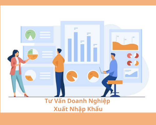 Dịch vụ hỗ trợ xuất khẩu